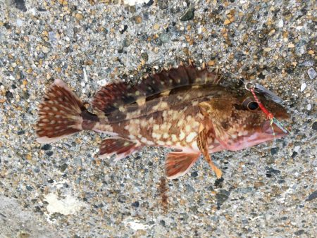 夕マヅメライトゲーム